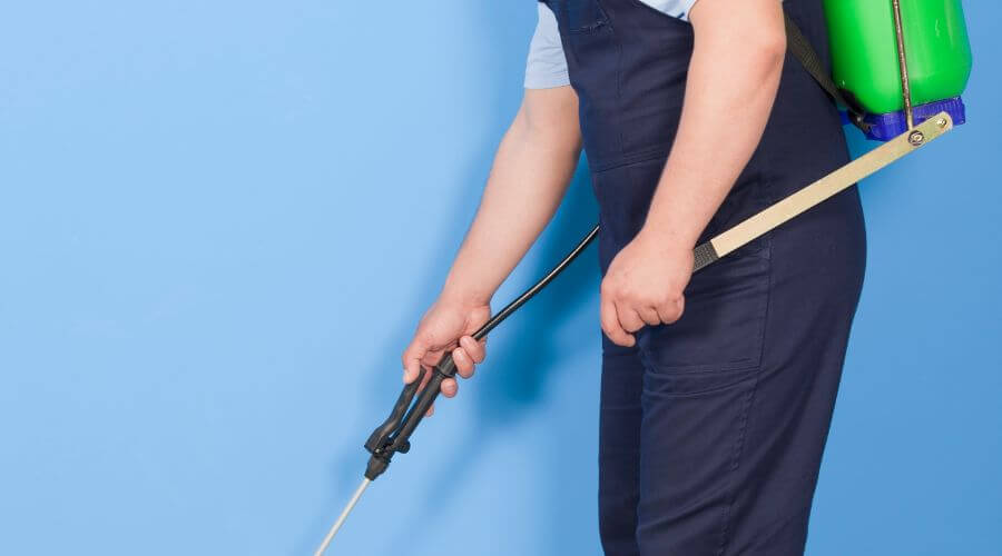 Why choose Restaurant Pest Control Glendale for restaurant pest control in Glendale